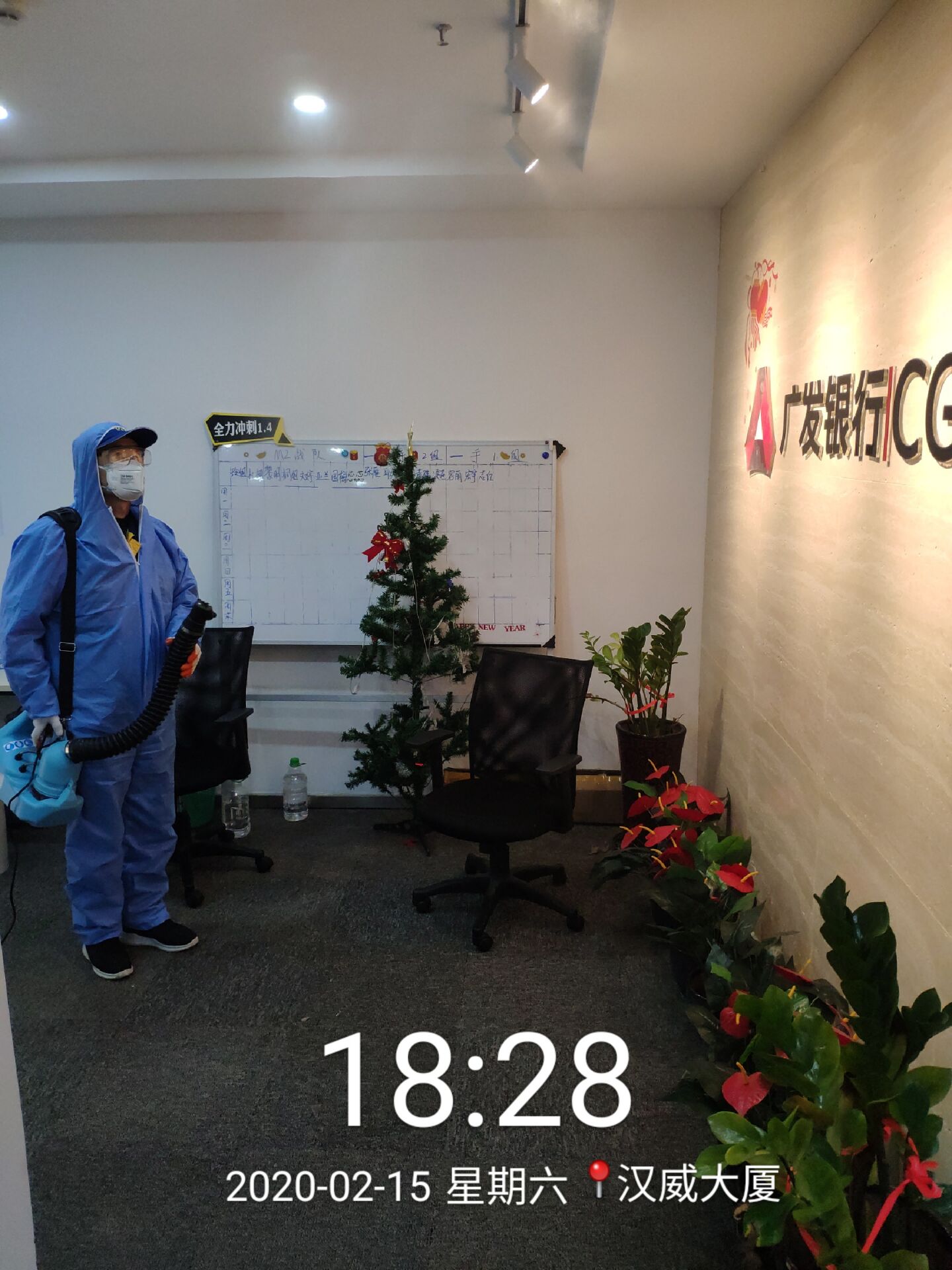 貓舍犬舍以及養(yǎng)寵家庭的日常消毒打聽北京室內(nèi)消毒公司多少錢一平米？